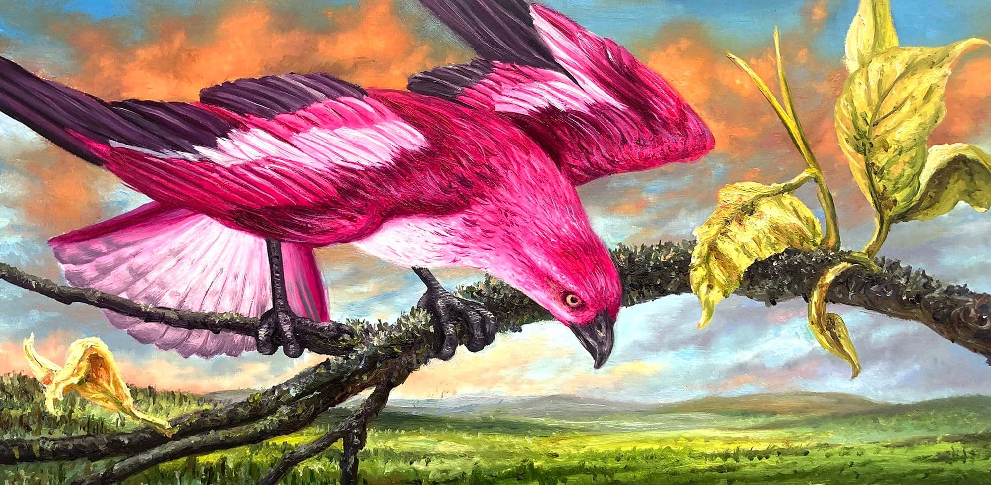 Angela Gram, Raptor