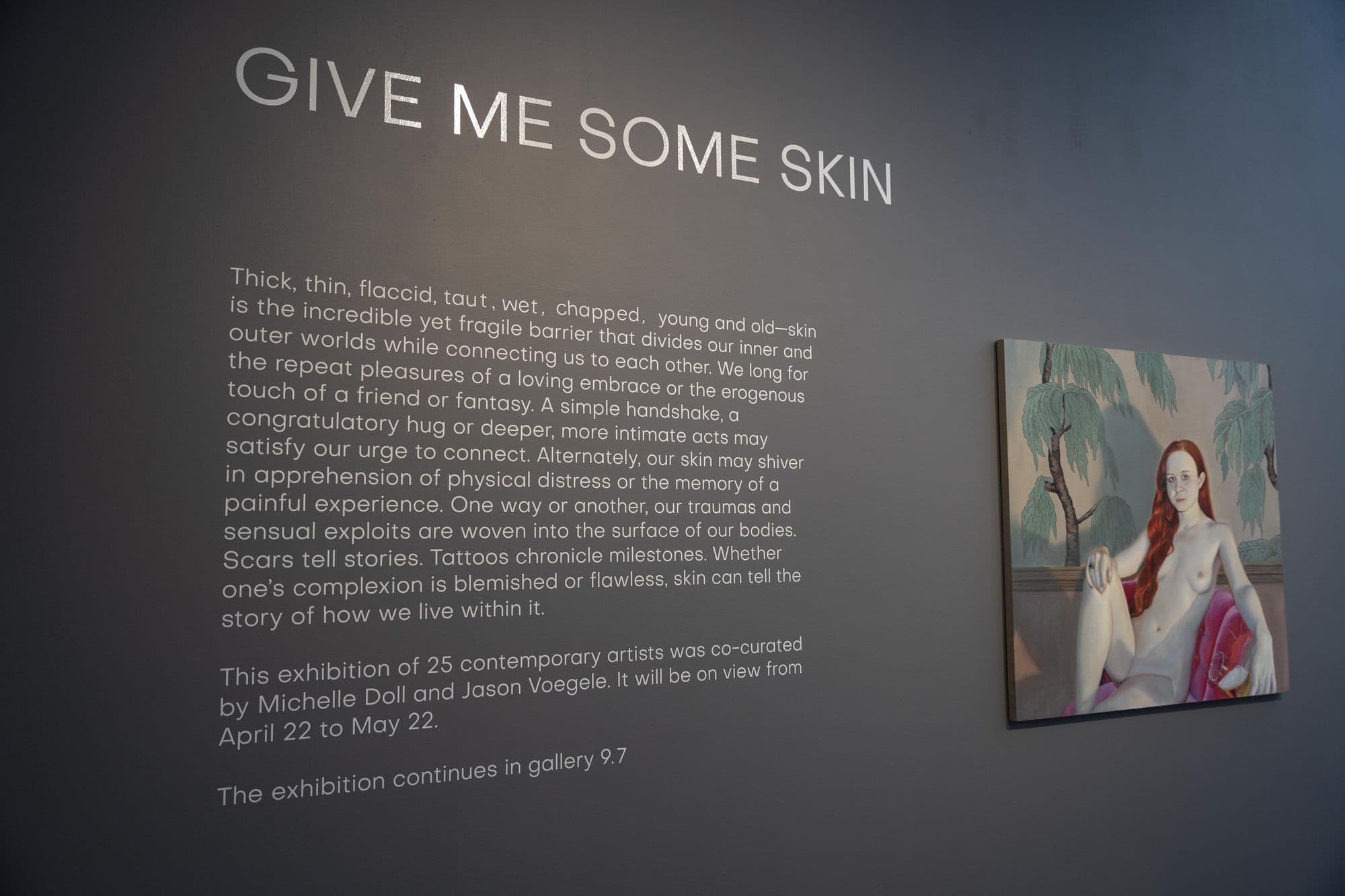 Give Me Some Skin, installation view