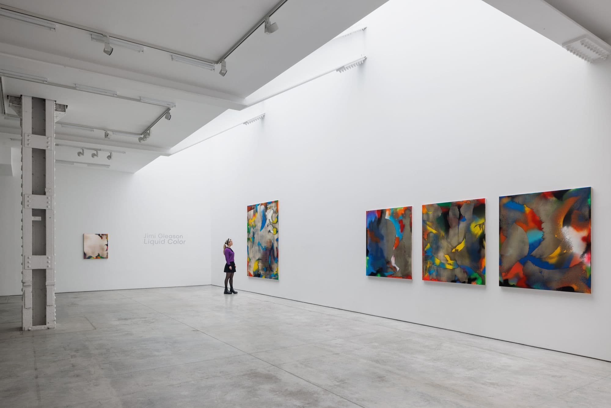 Jimi Gleason: Liquid Color, installation view