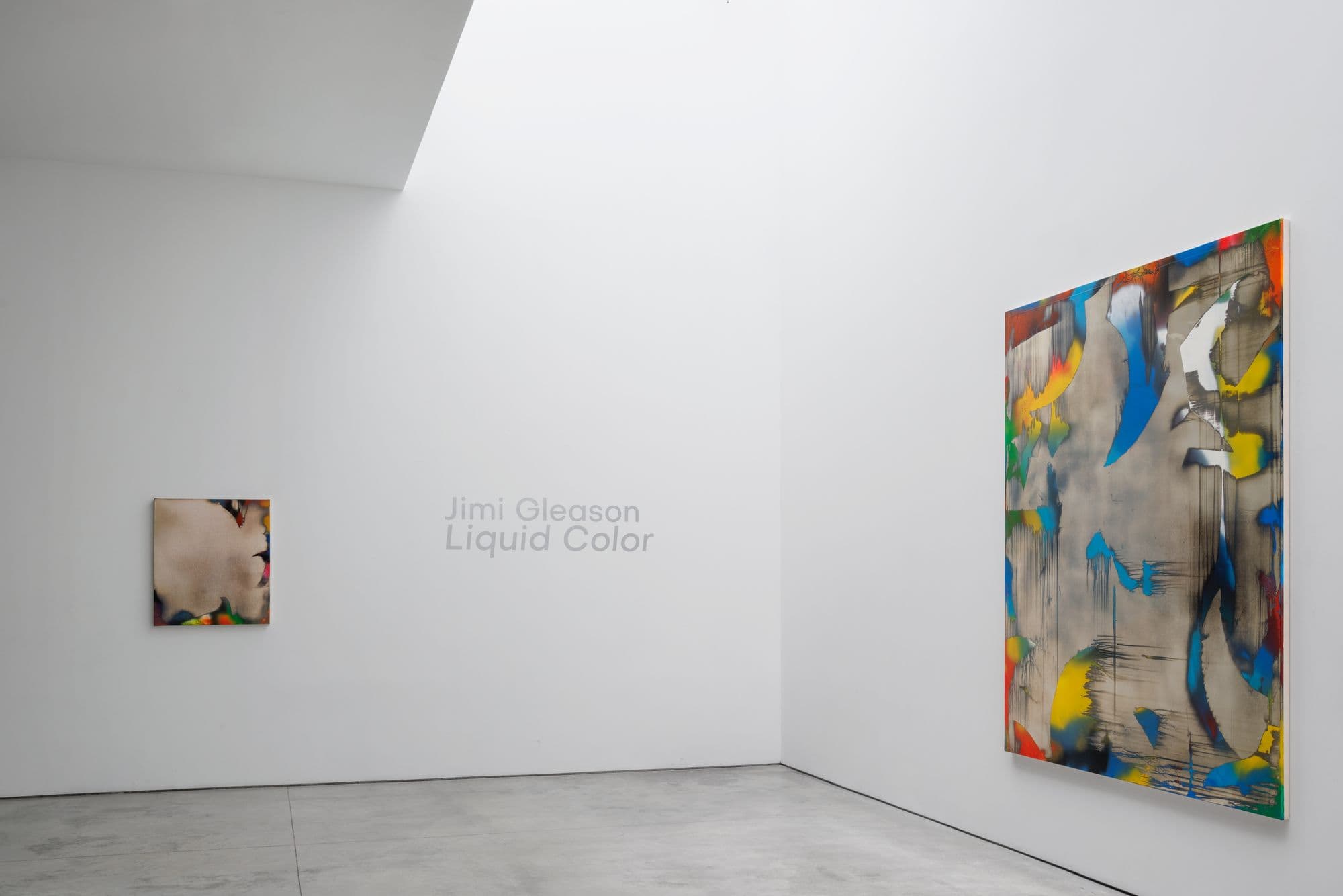 Jimi Gleason: Liquid Color, installation view