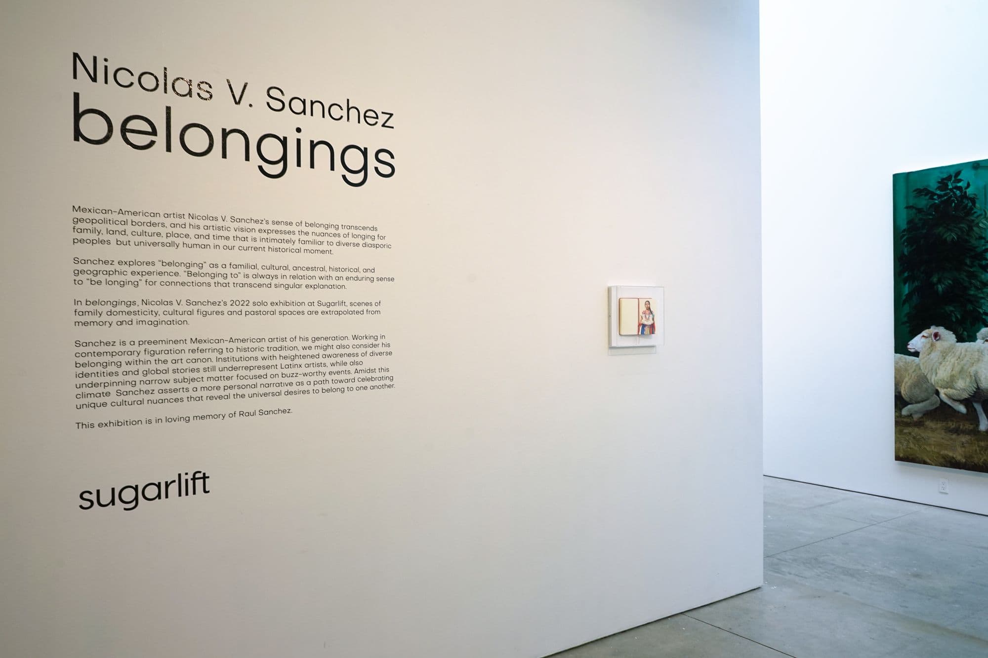 Nicolas V. Sanchez: belongings, installation view