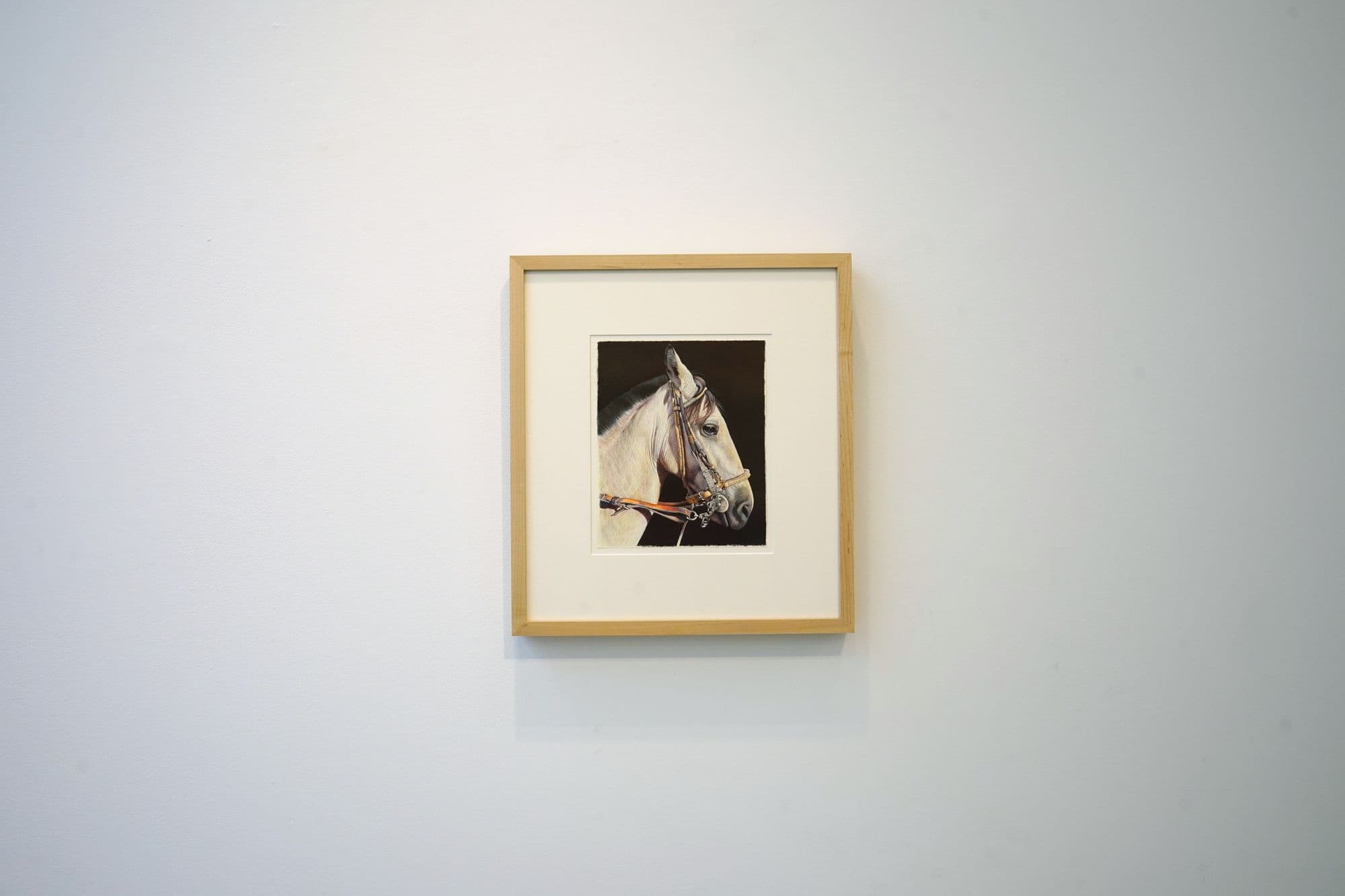Nicolas V. Sanchez: belongings, installation view