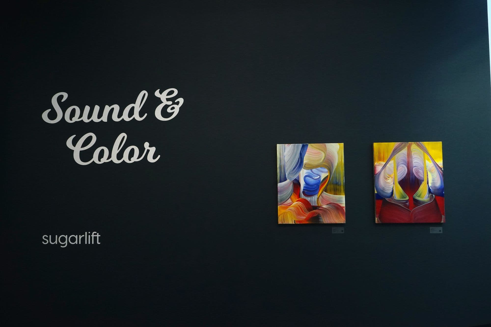 Sound & Color, installation view
