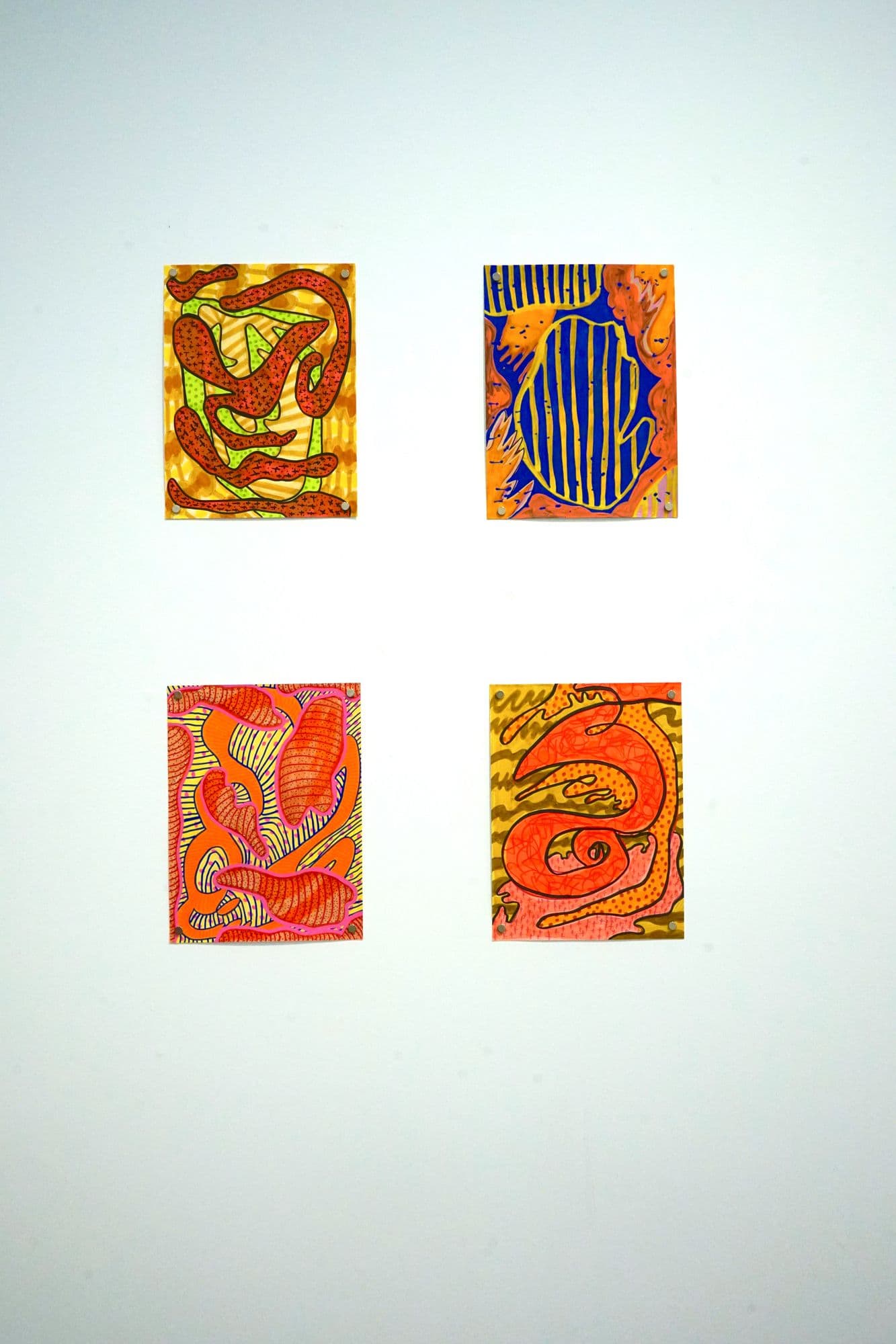 -American, installation view