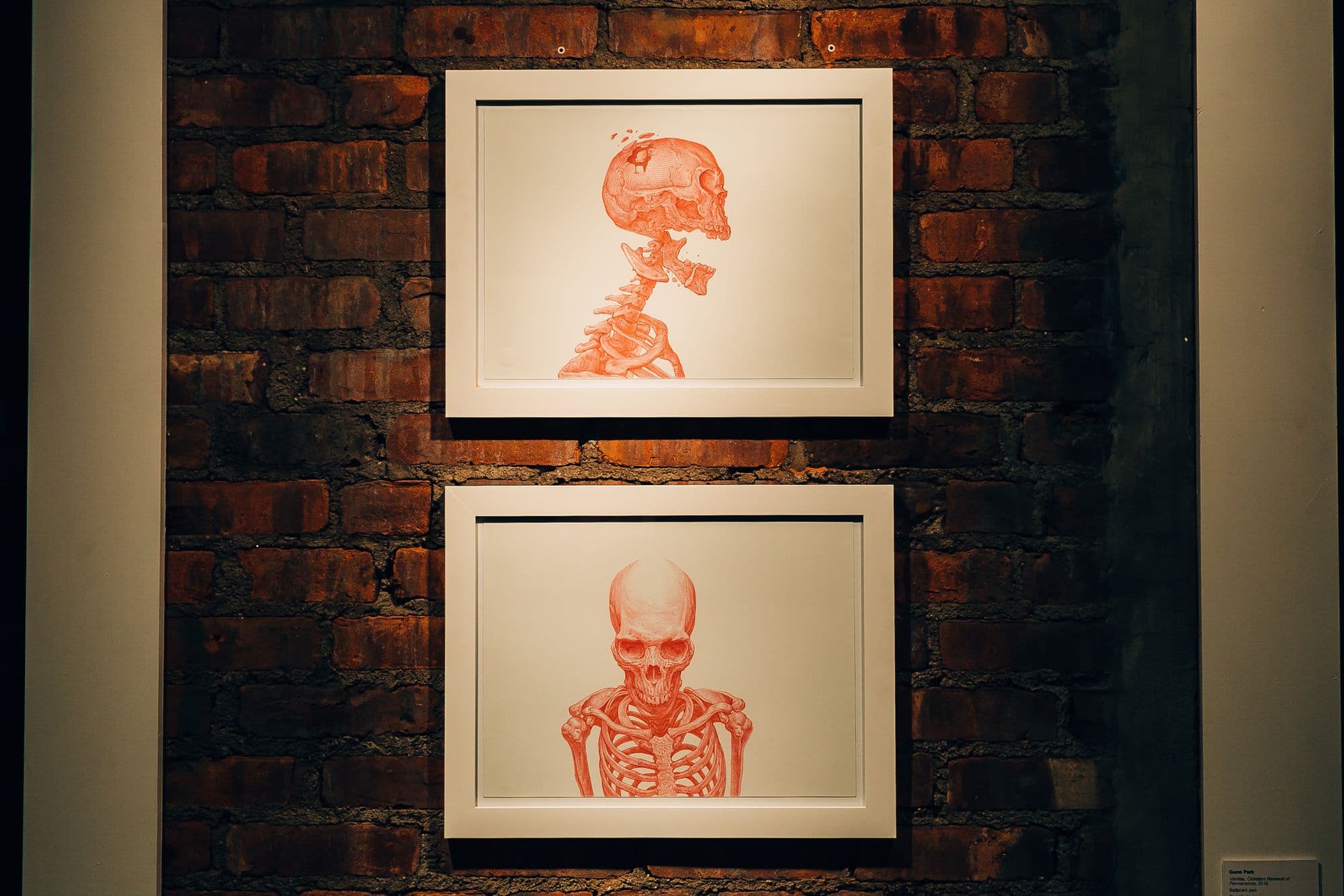 Ballpoint, installation view
