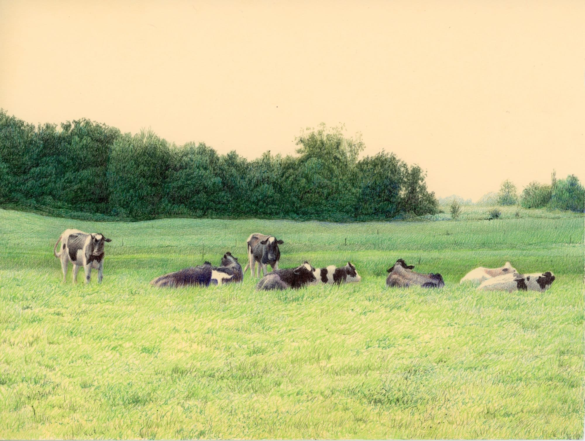 Nicolas V. Sanchez, Midwest Grass