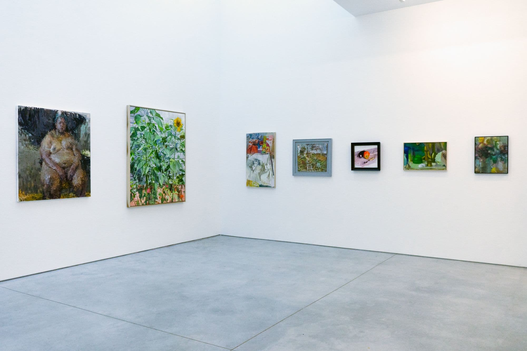 Beyond Description, installation view
