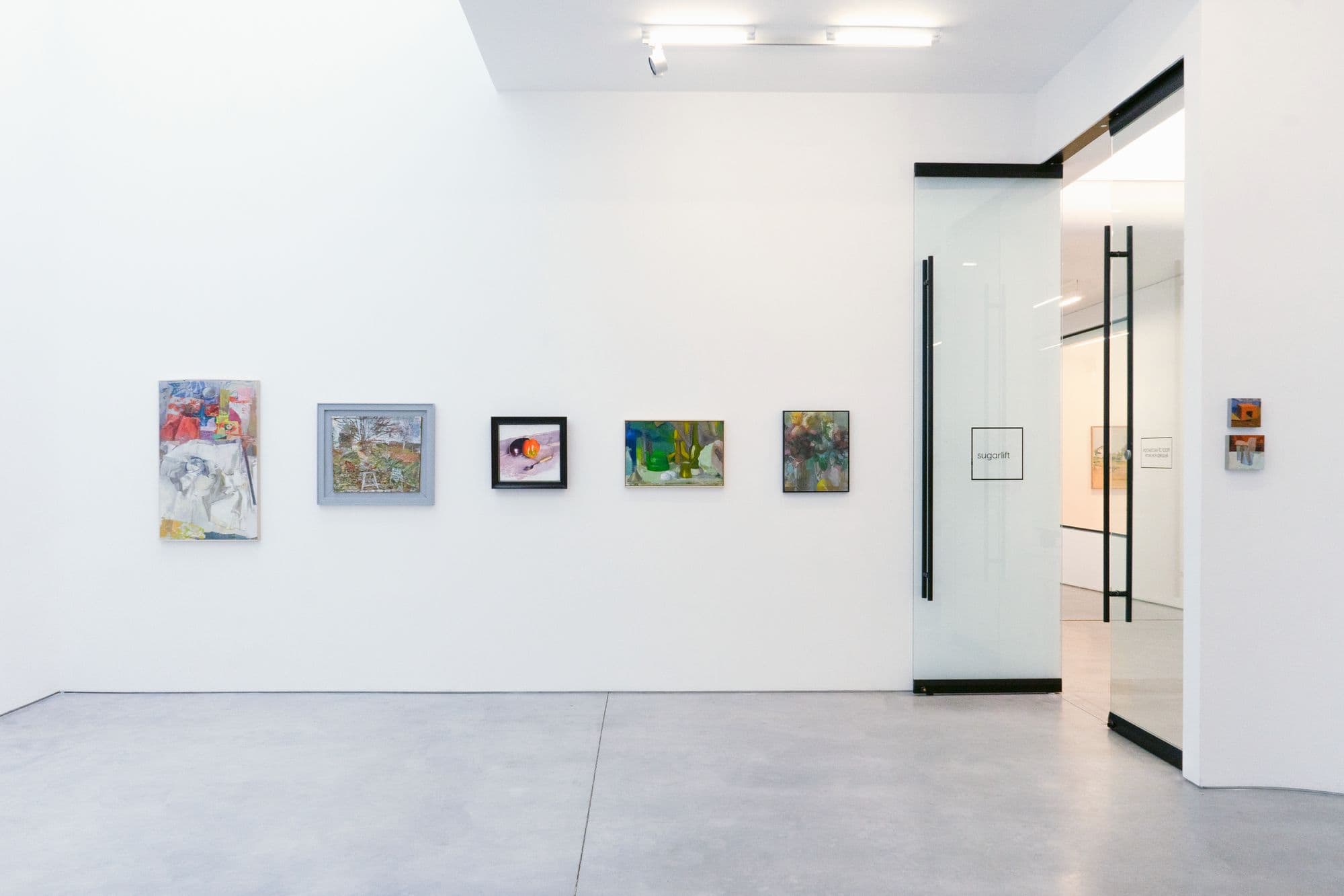 Beyond Description, installation view