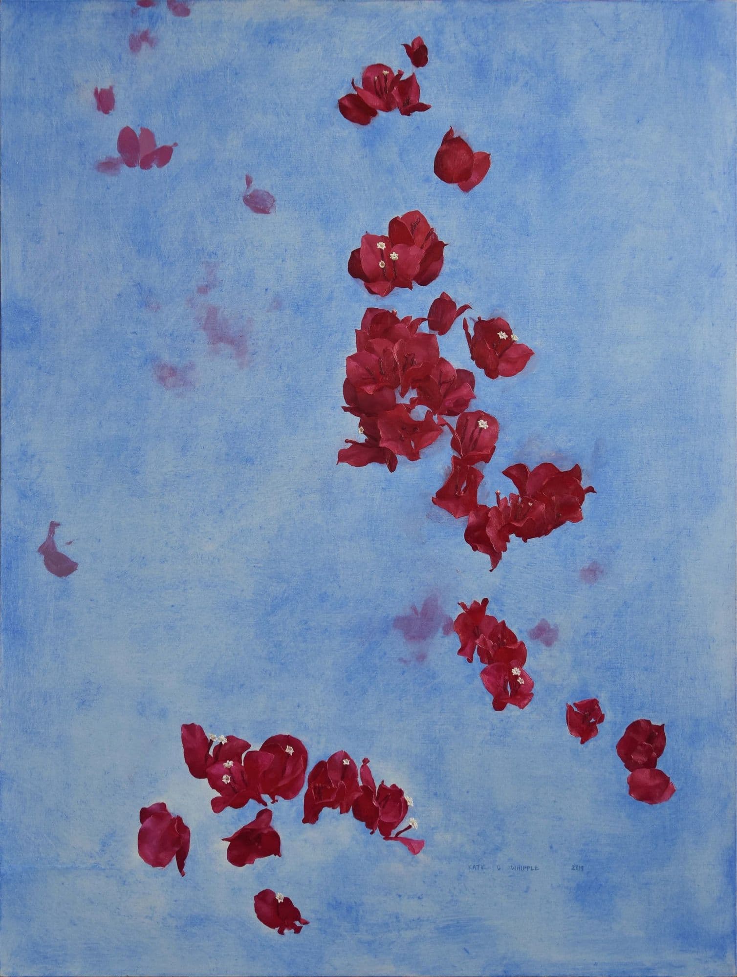 Katie Whipple, Bougainvillea