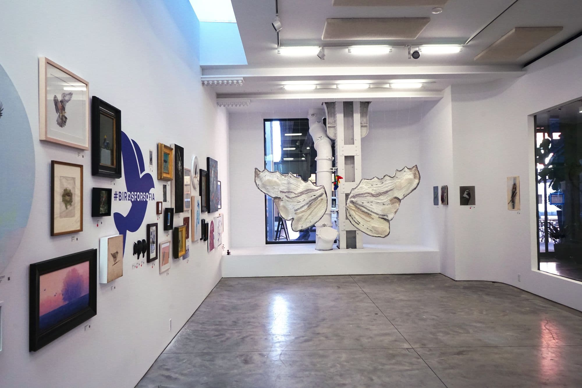 Birds for Sofia, installation view