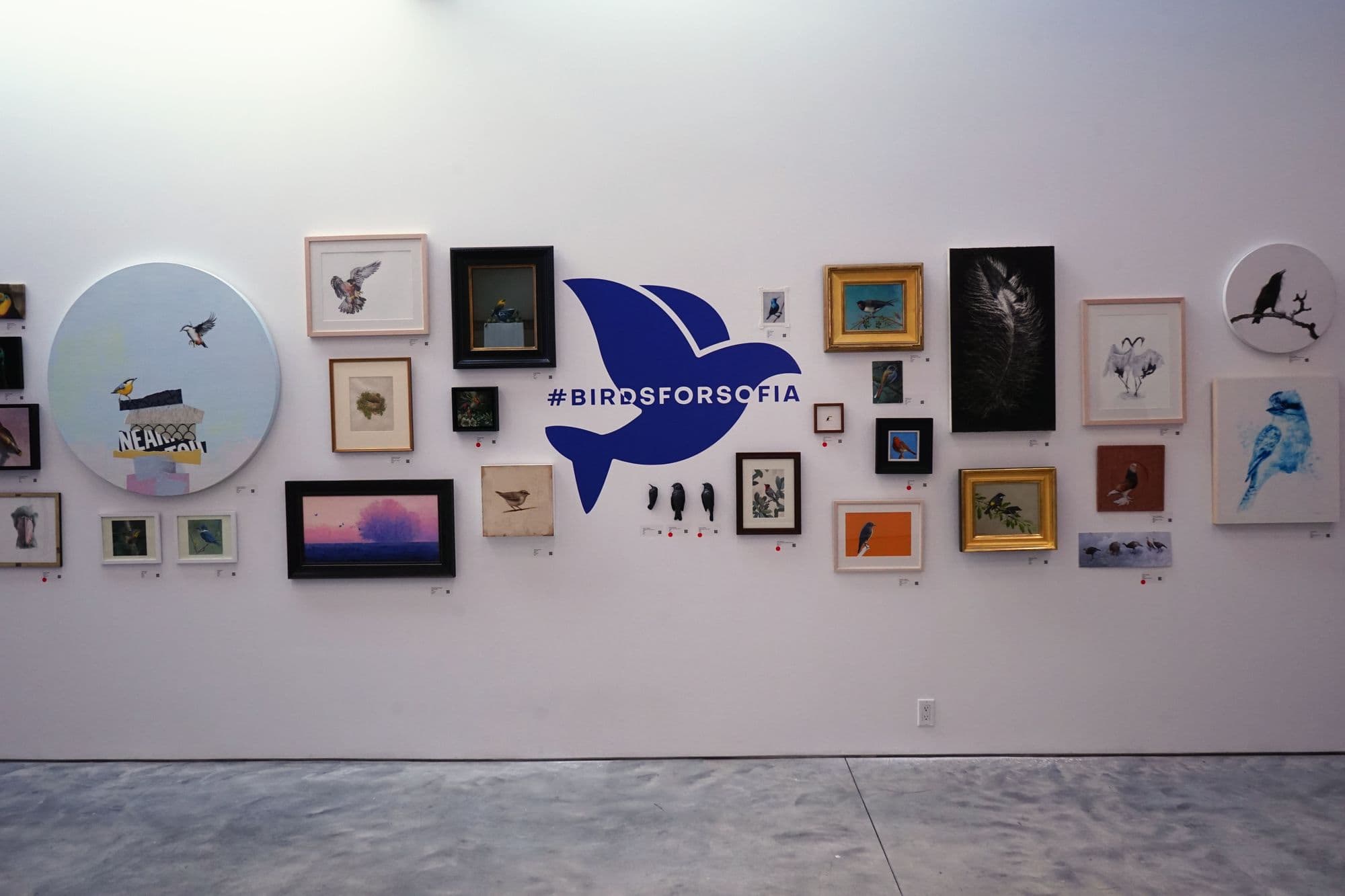 Birds for Sofia, installation view