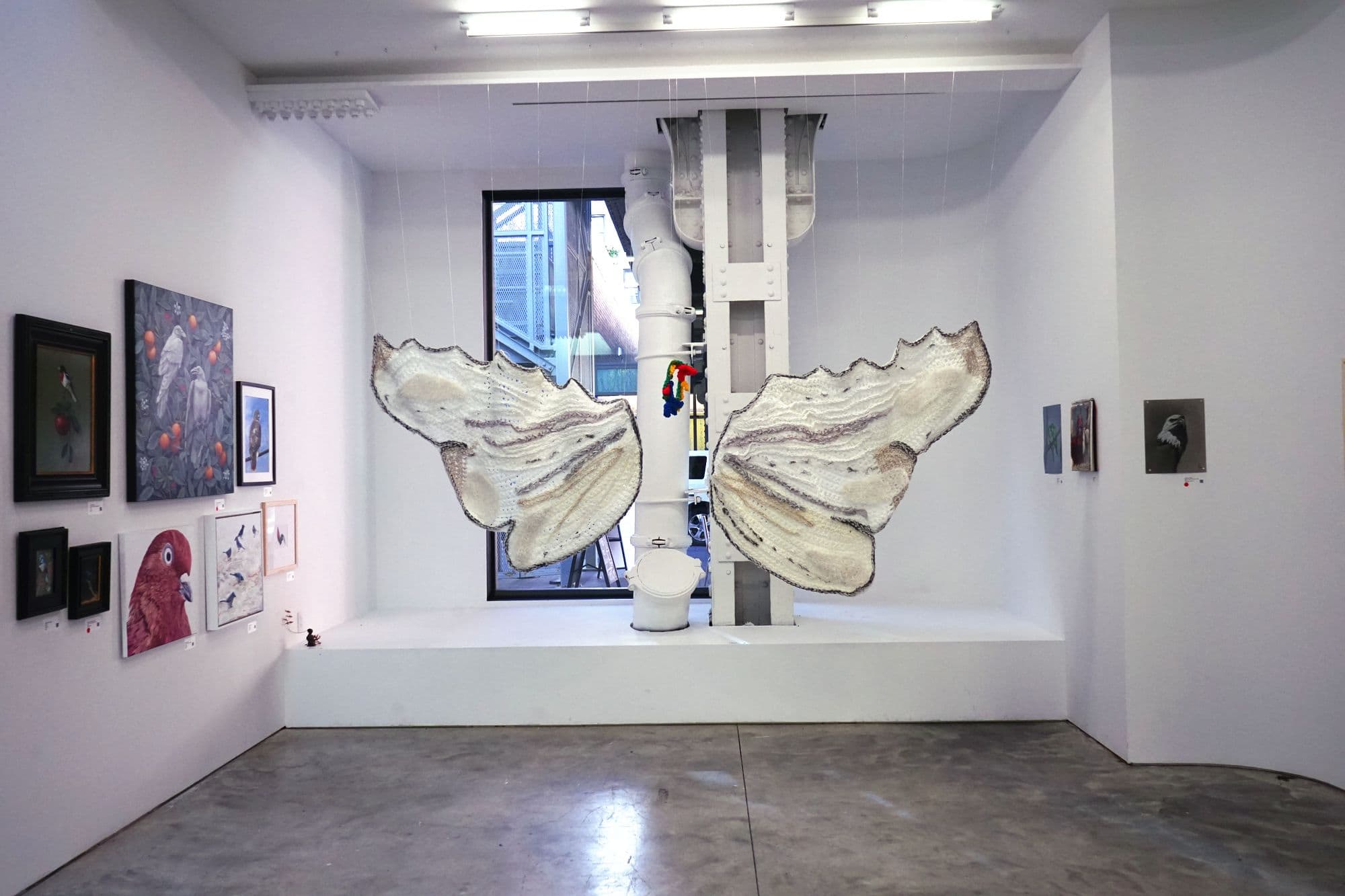 Birds for Sofia, installation view