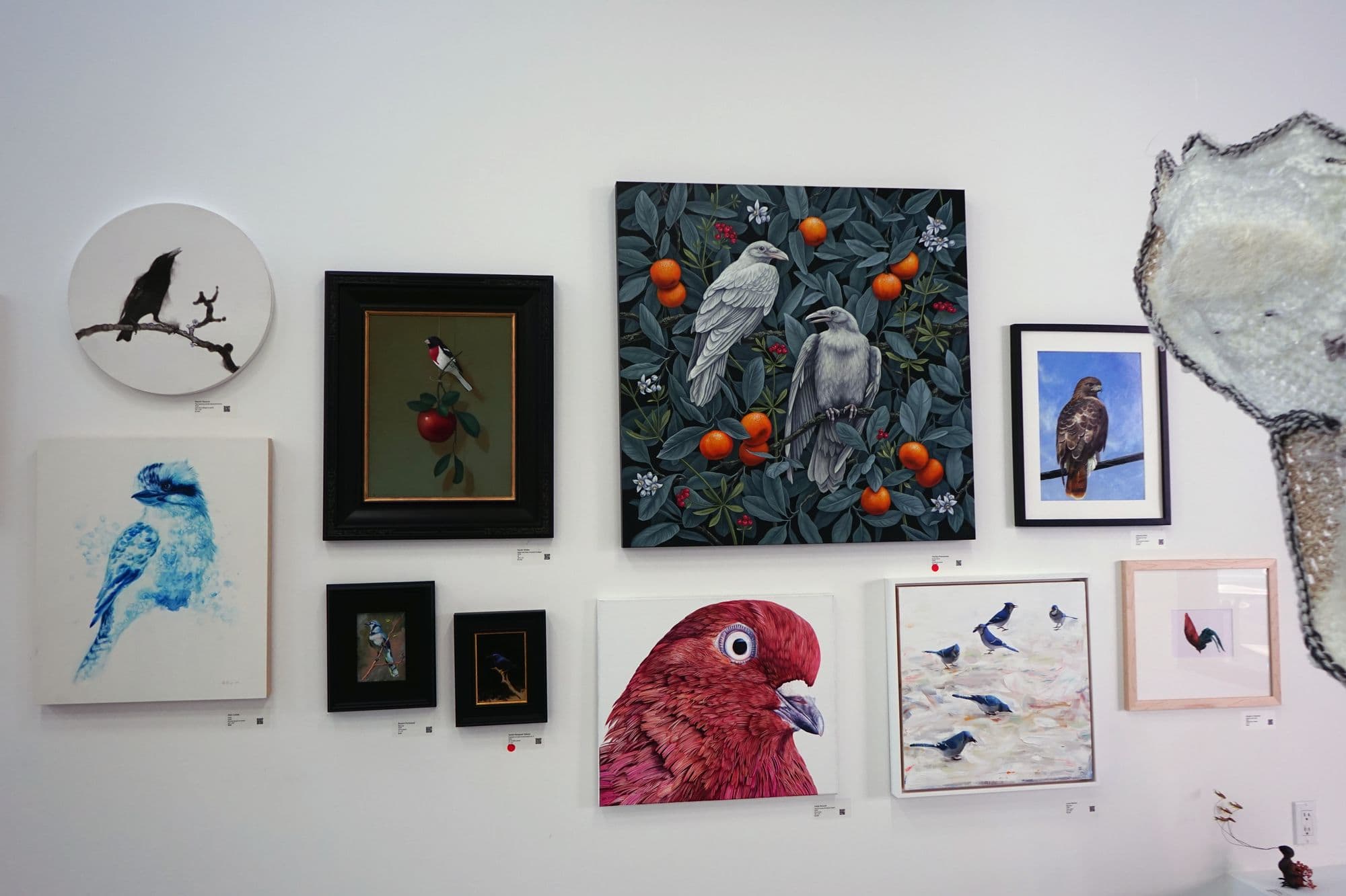 Birds for Sofia, installation view