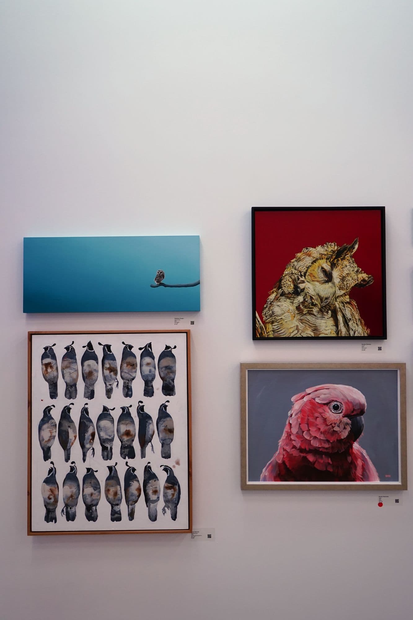 Birds for Sofia, installation view