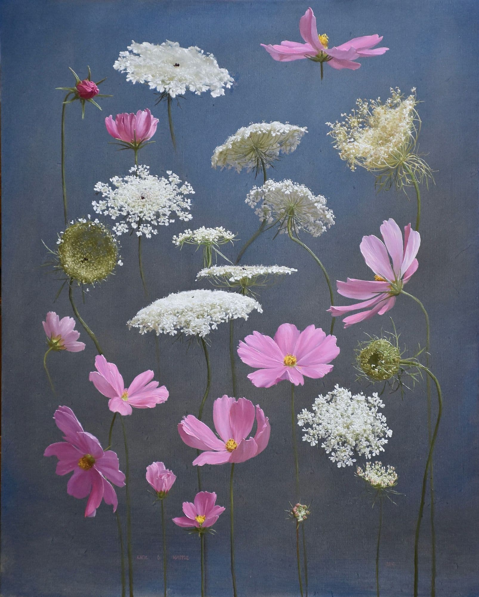 Katie G. Whipple, Queen Anne's Lace and Cosmos