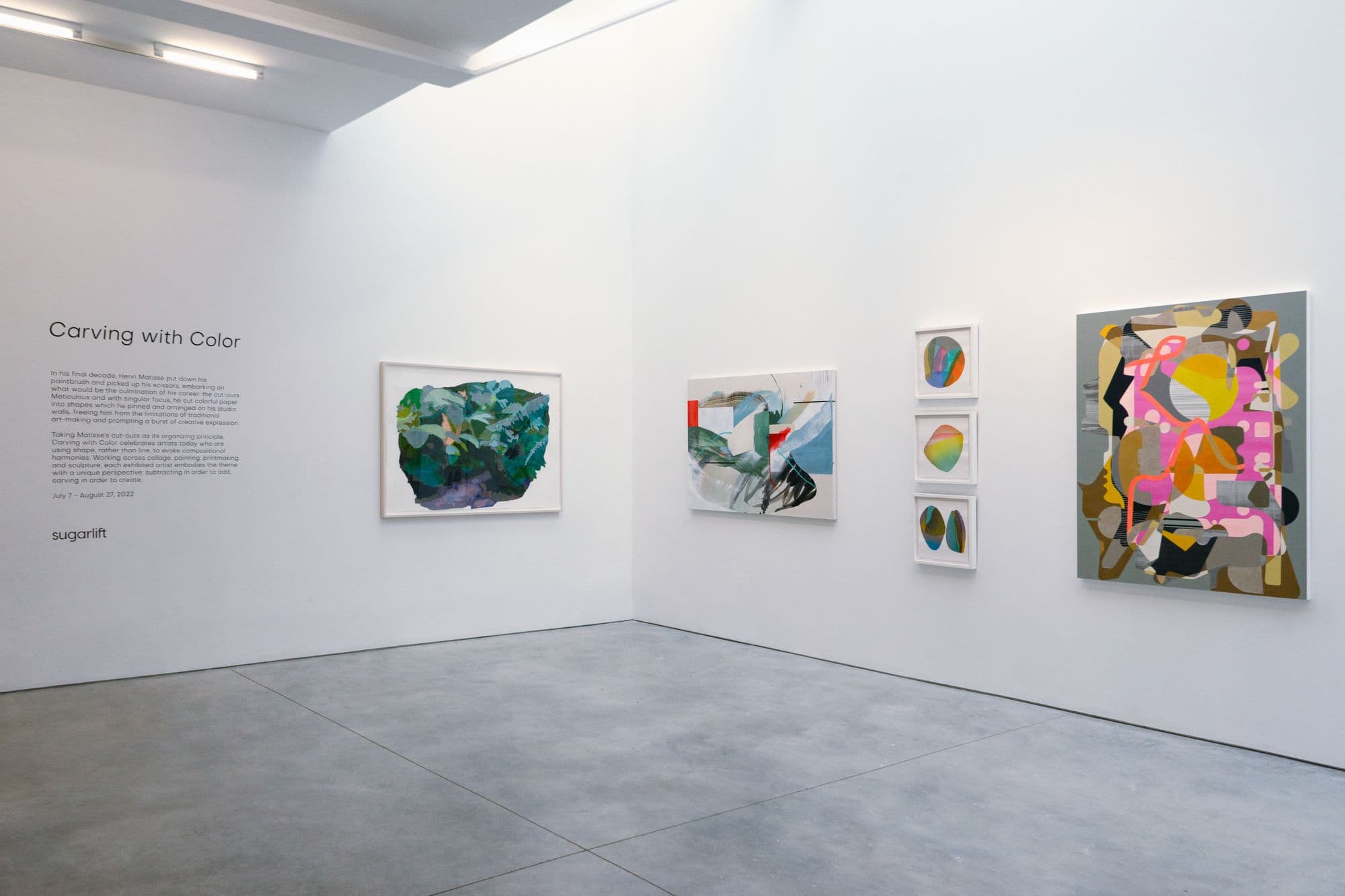 Carving with Color, installation view