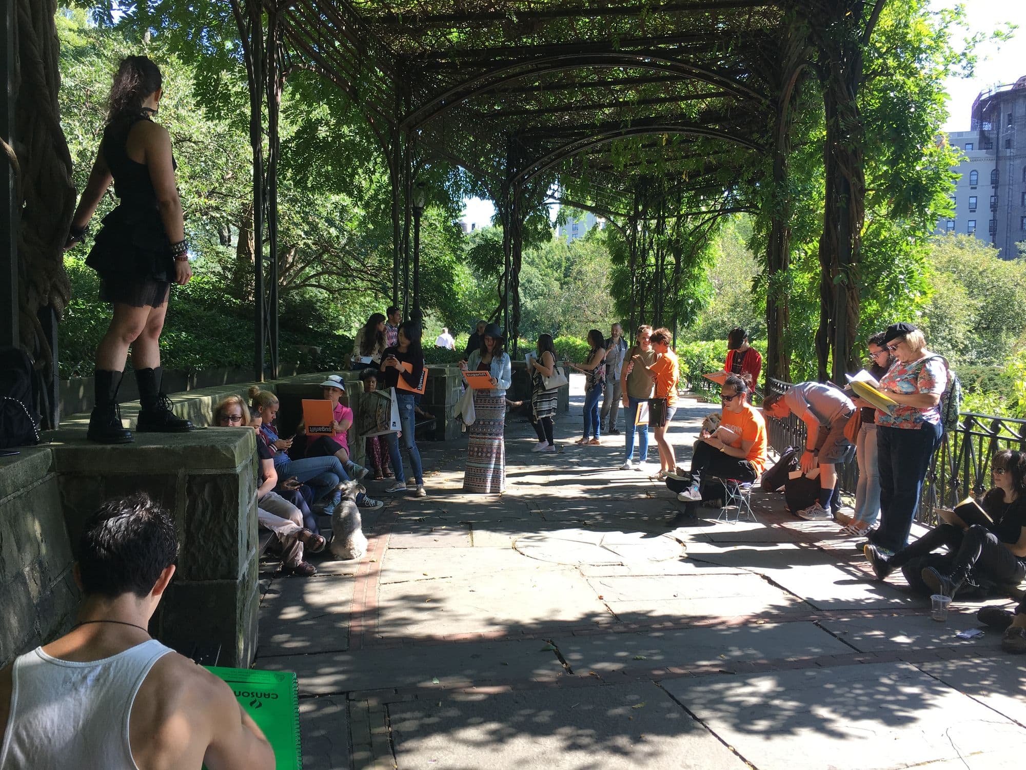 Draw Central Park, the opening