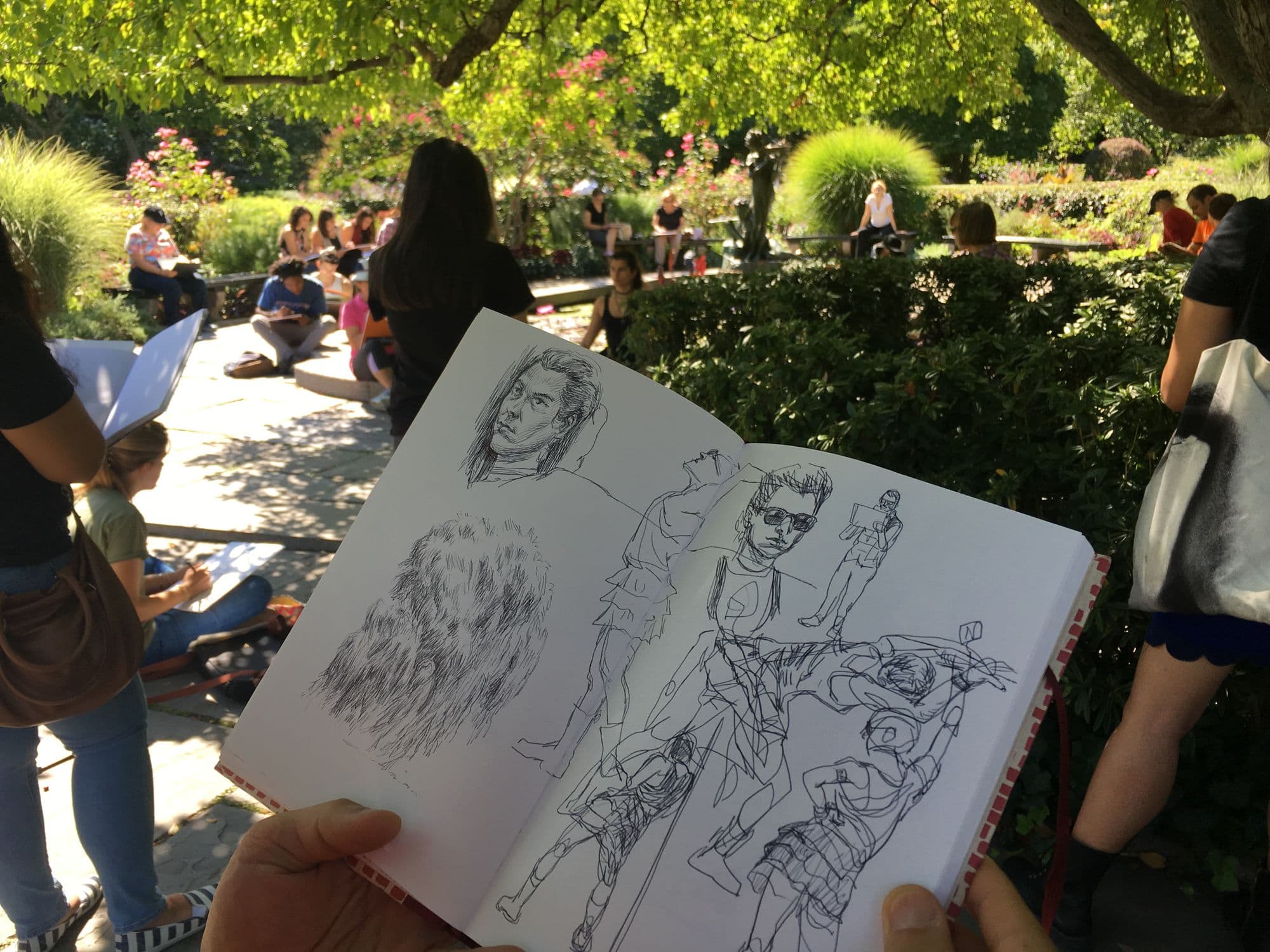 Draw Central Park, the opening