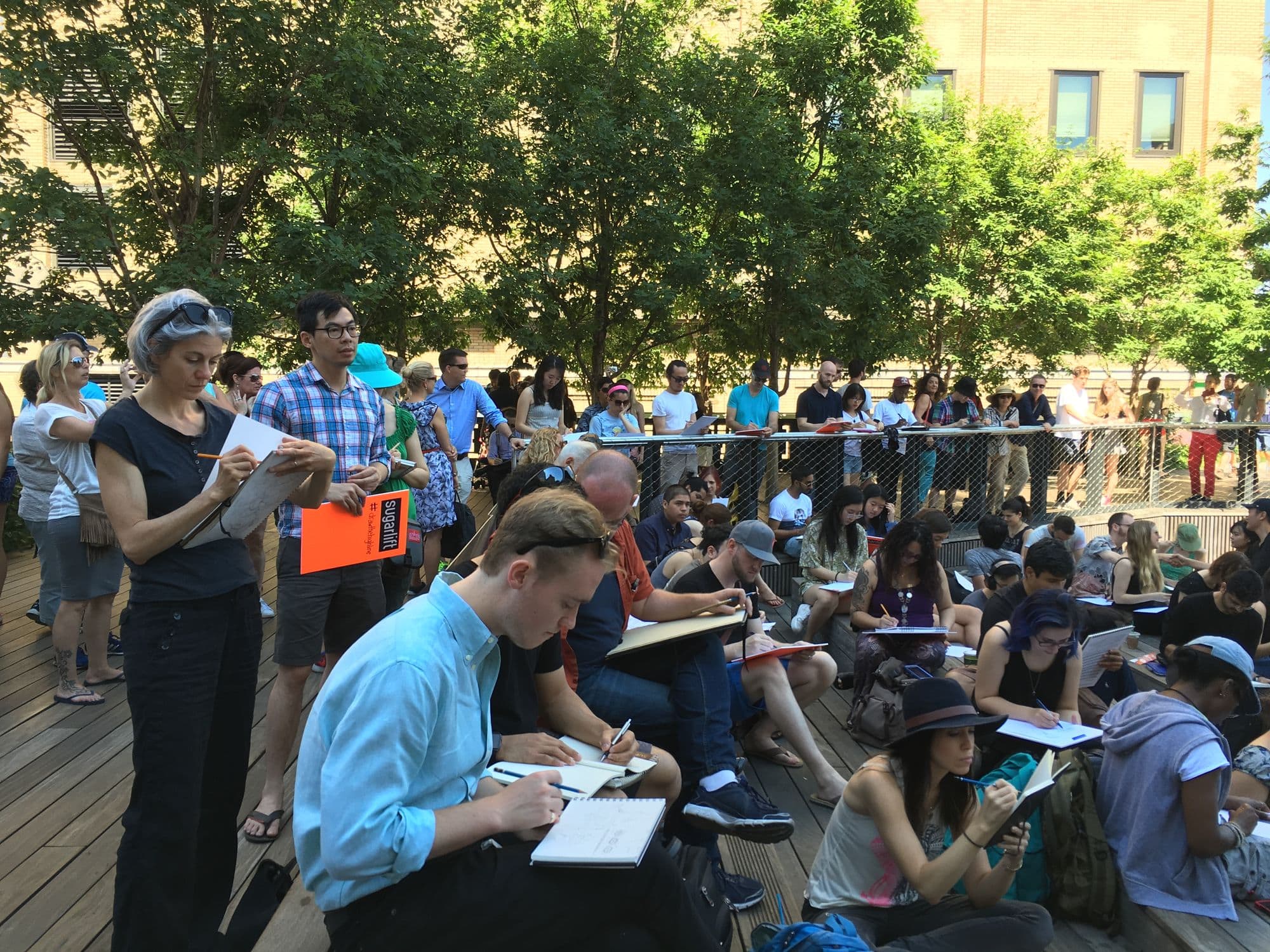 Draw the High Line, the opening