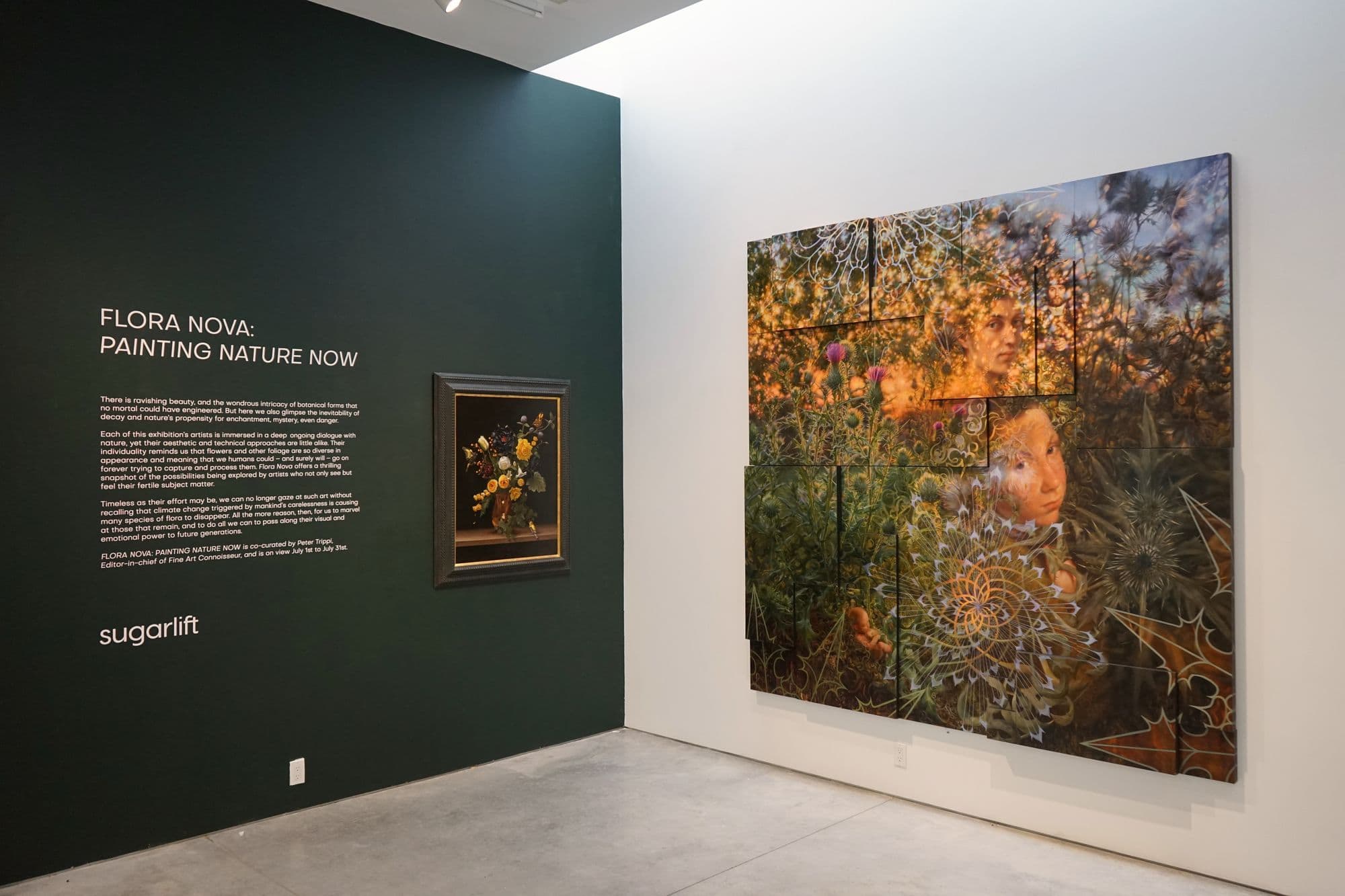 Flora Nova: Painting Nature Now, installation view