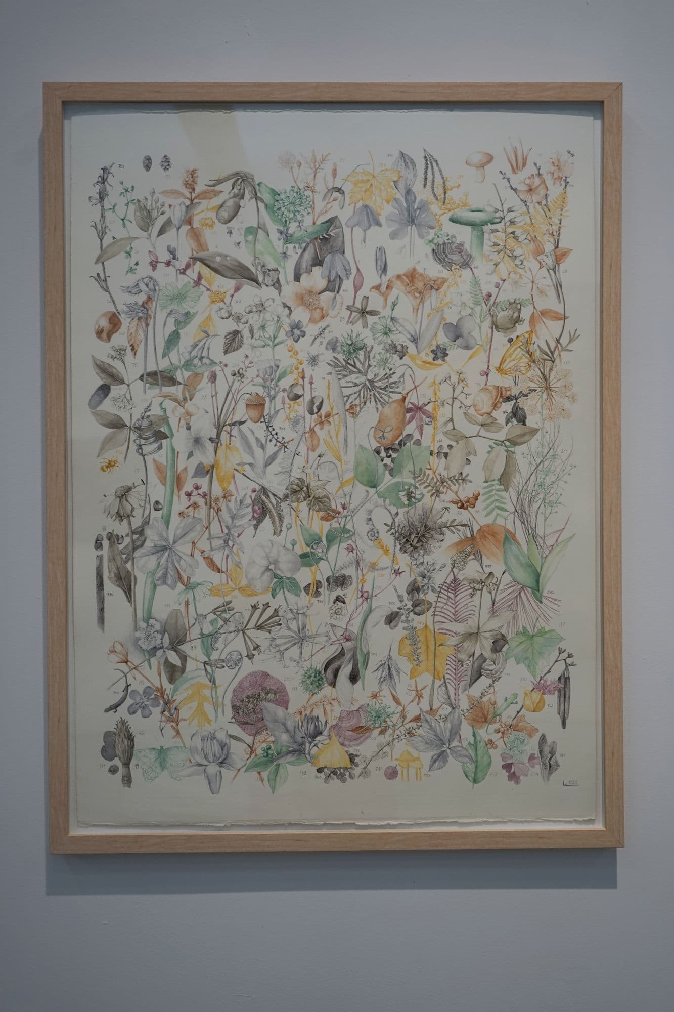 Flora Nova: Painting Nature Now, installation view