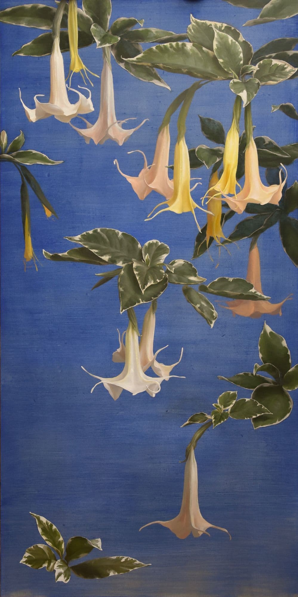 Katie Whipple, Angels for Giotto
