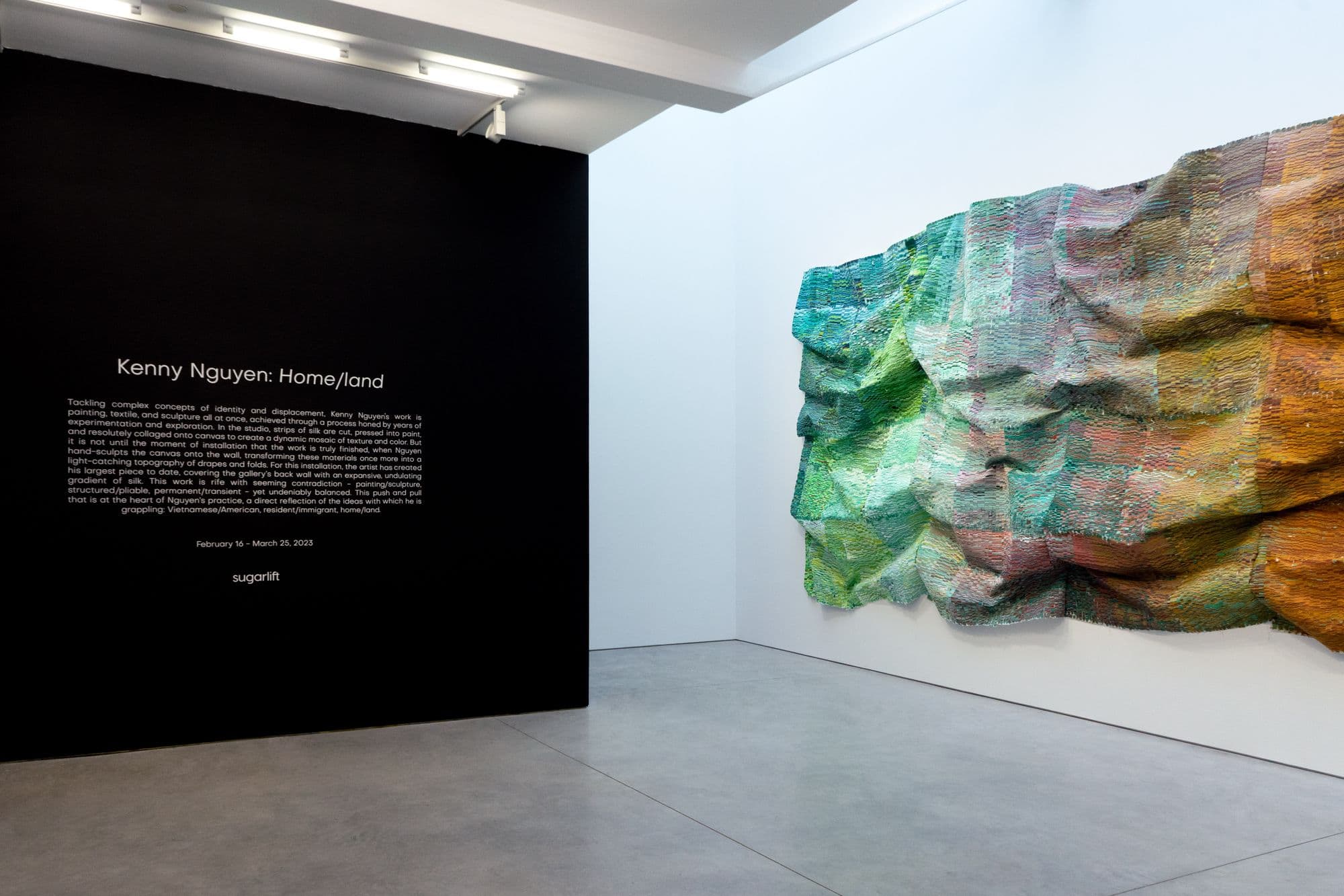 Kenny Nguyen: Home/land, installation view