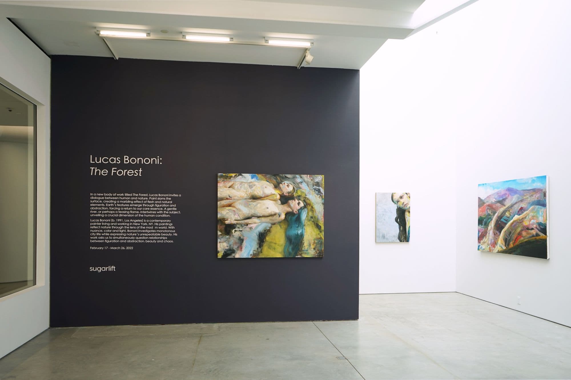 Lucas Bononi: The Forest, installation view