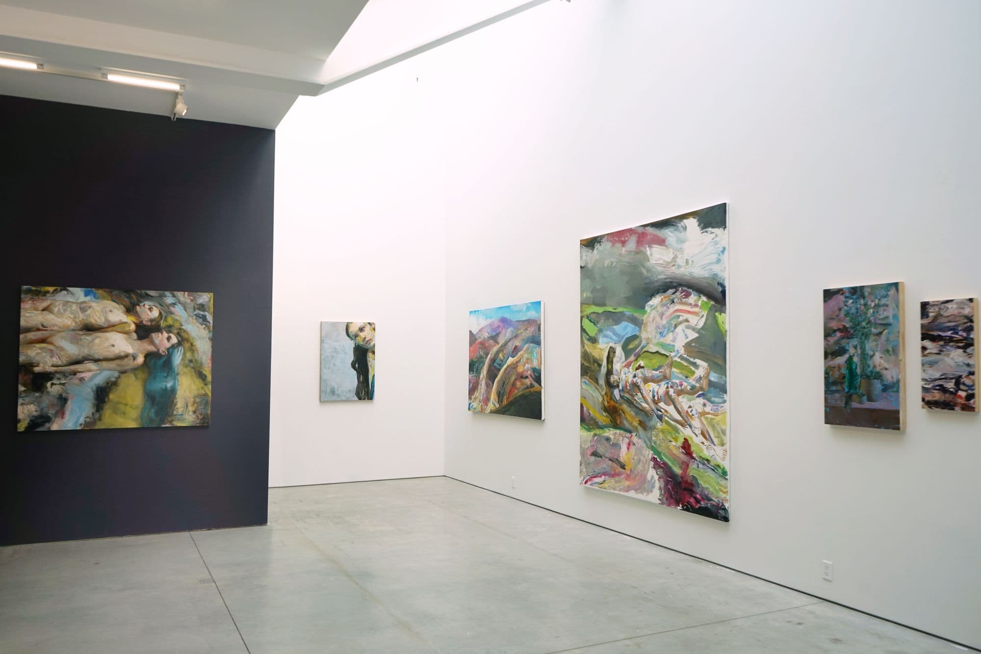 Lucas Bononi: The Forest, installation view