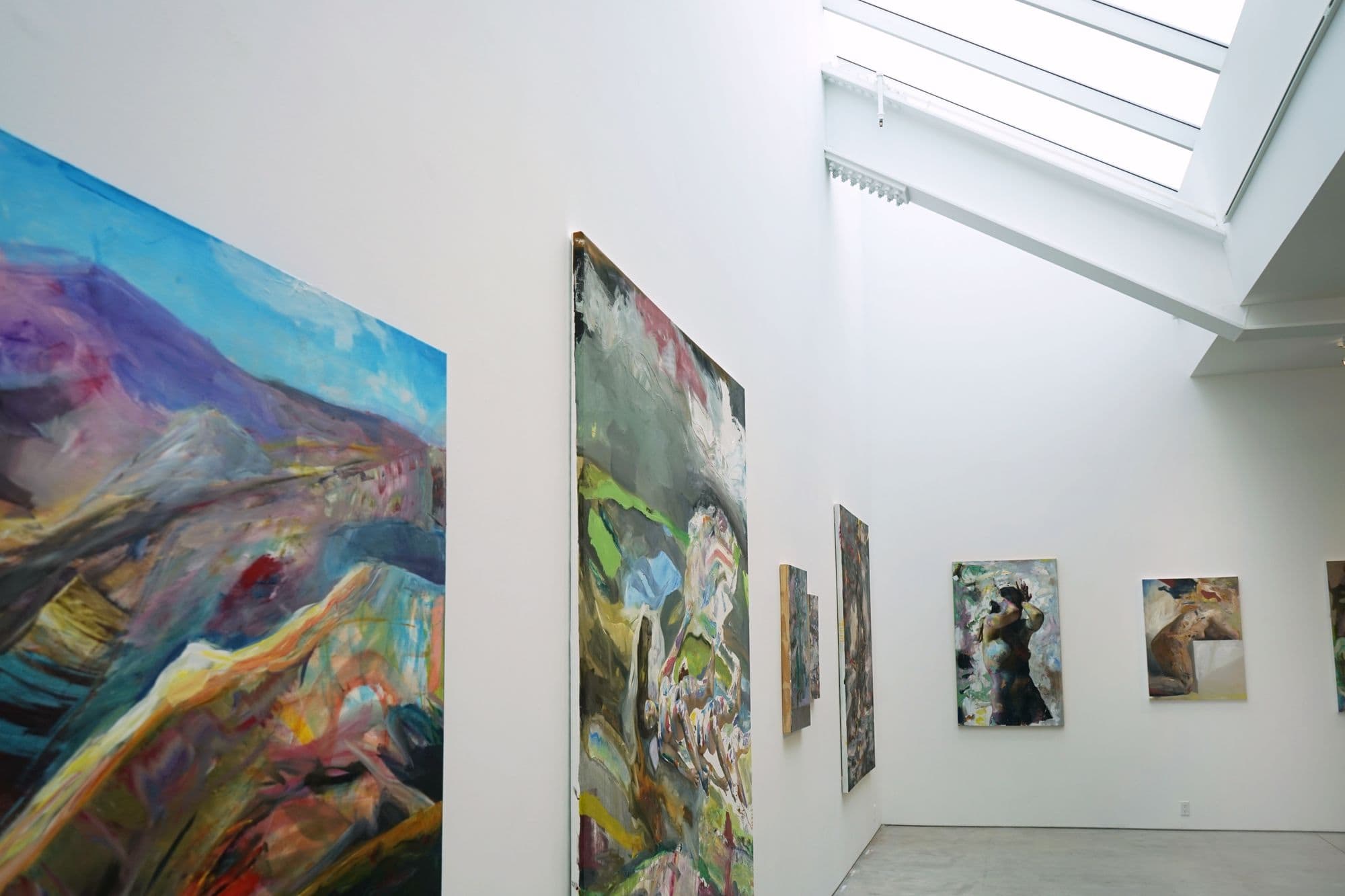 Lucas Bononi: The Forest, installation view
