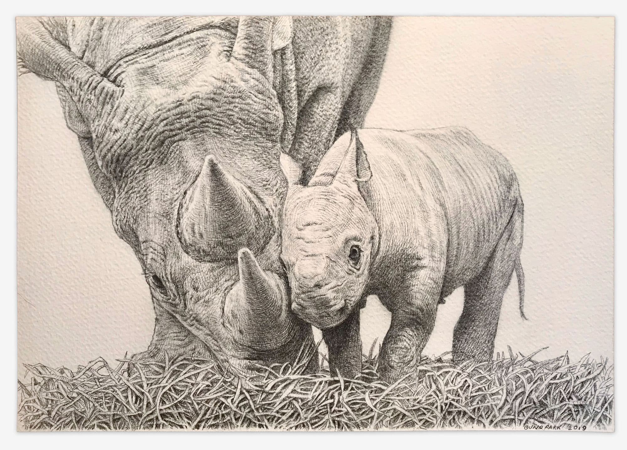 Guno Park, Rhinoceros calf and mother