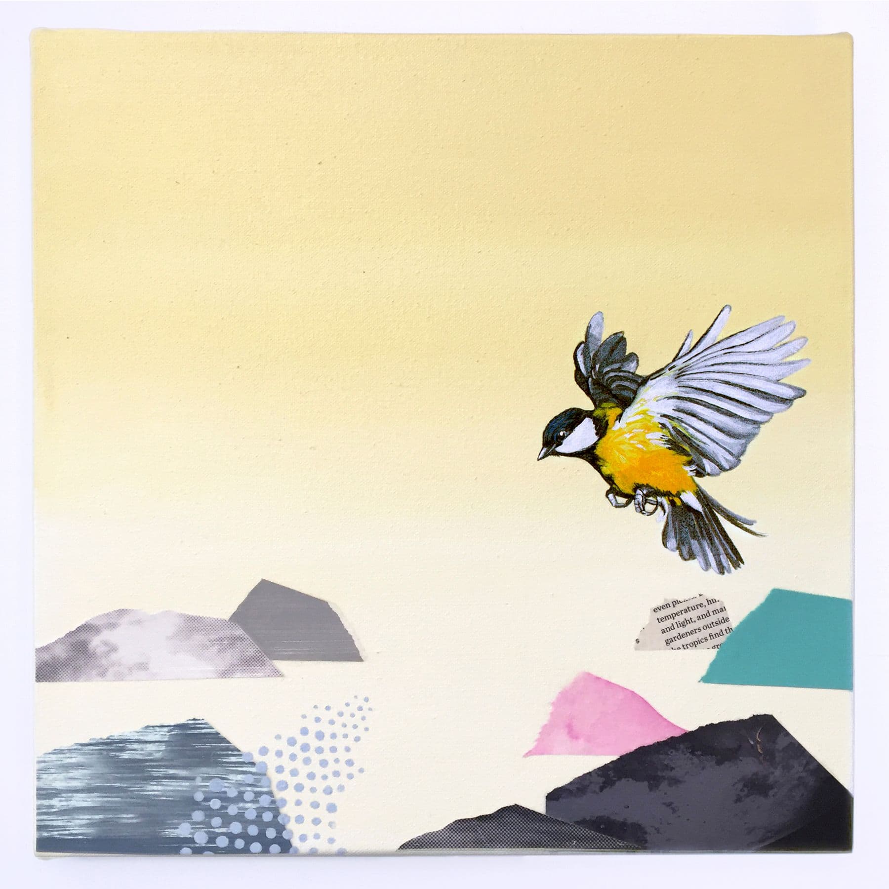 Lauren Matsumoto, Collaboration With My Son No. 6