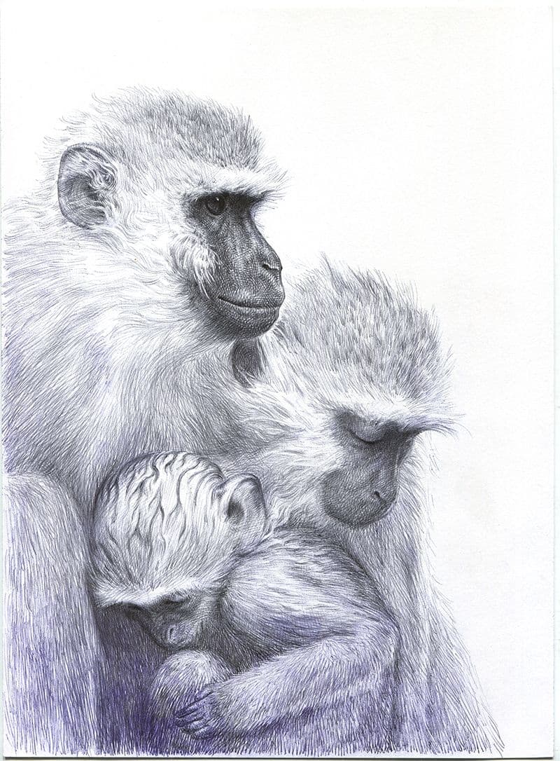Guno Park, Langur Family