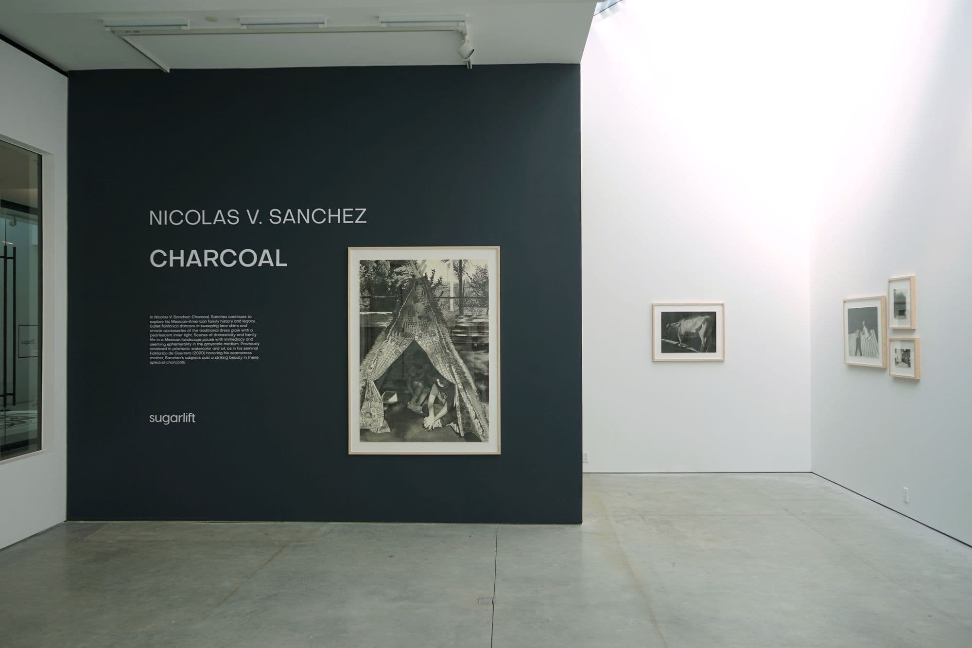 Nicolas V. Sanchez: Charcoal, installation view
