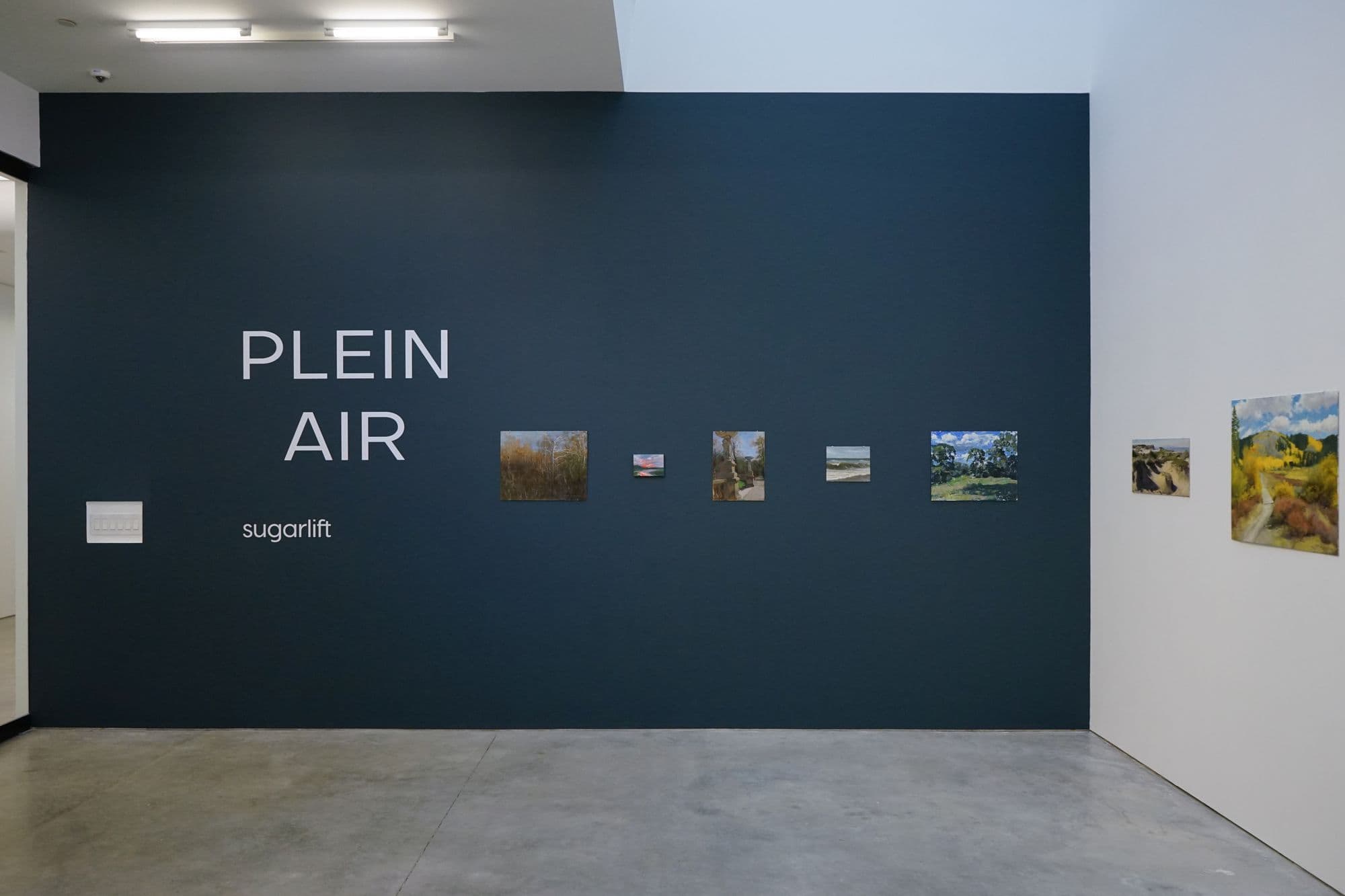 Plein Air, installation view
