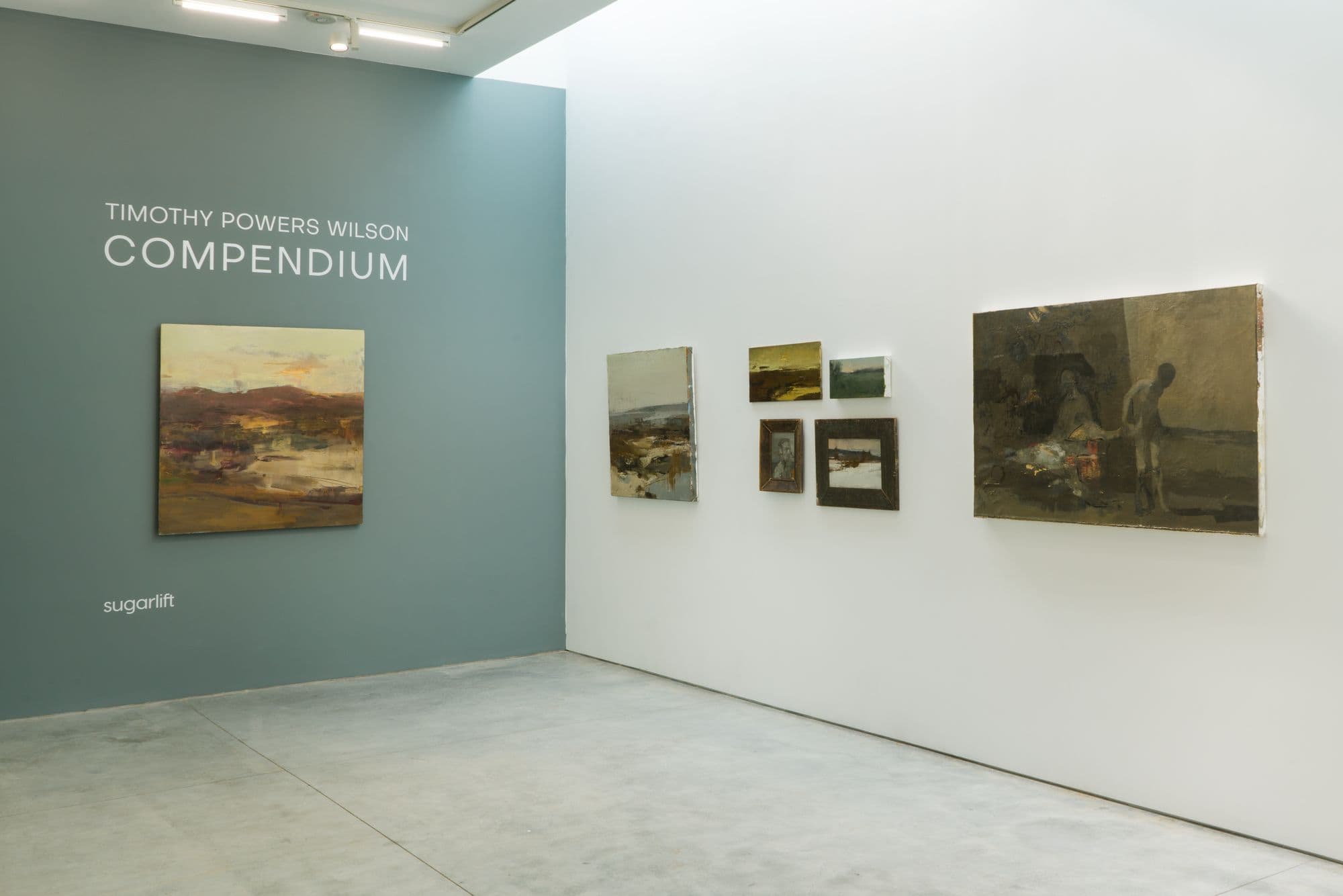 Timothy Powers Wilson: Compendium, installation view