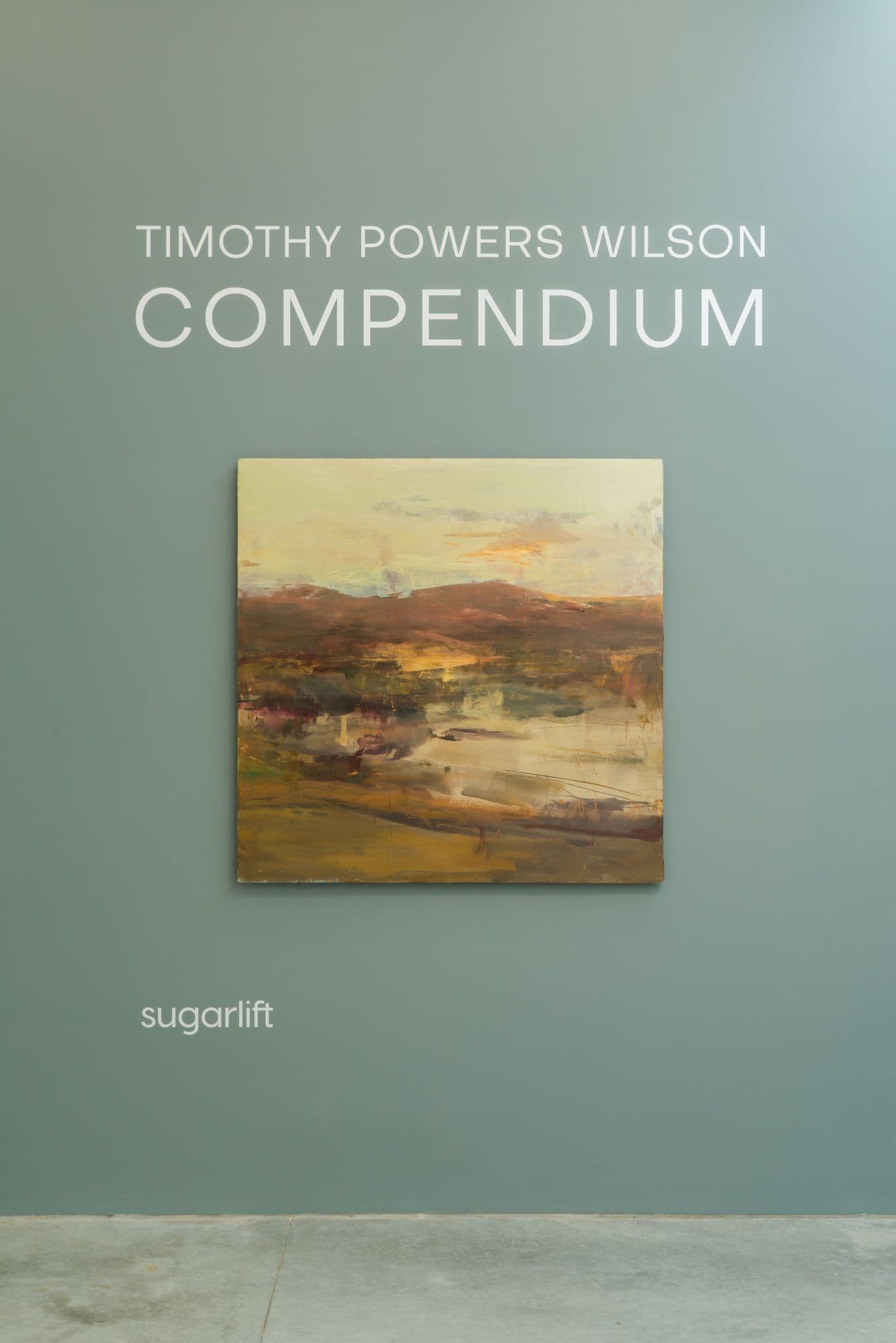 Timothy Powers Wilson: Compendium, installation view