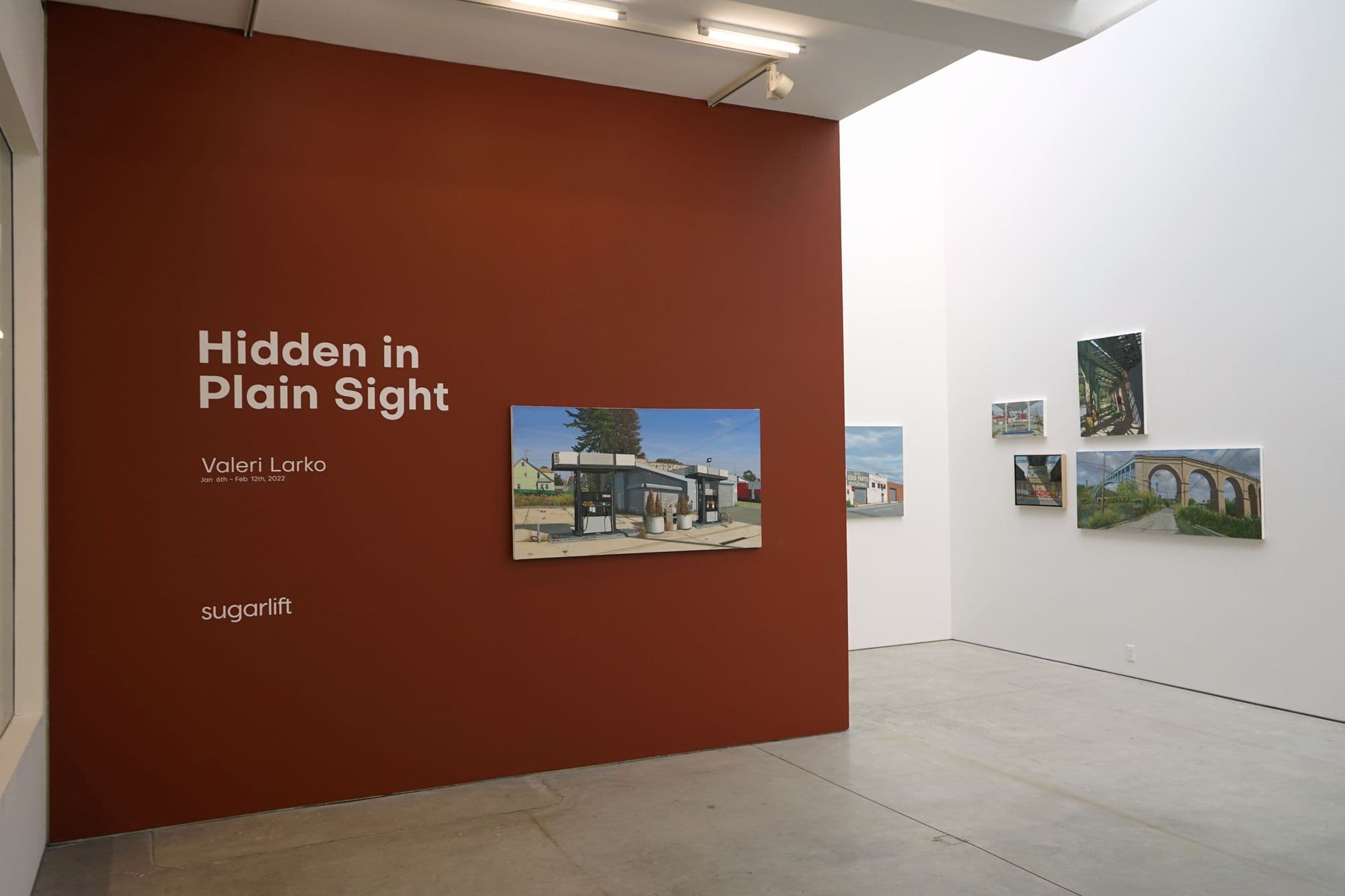 Valeri Larko: Hidden in Plain Sight, installation view