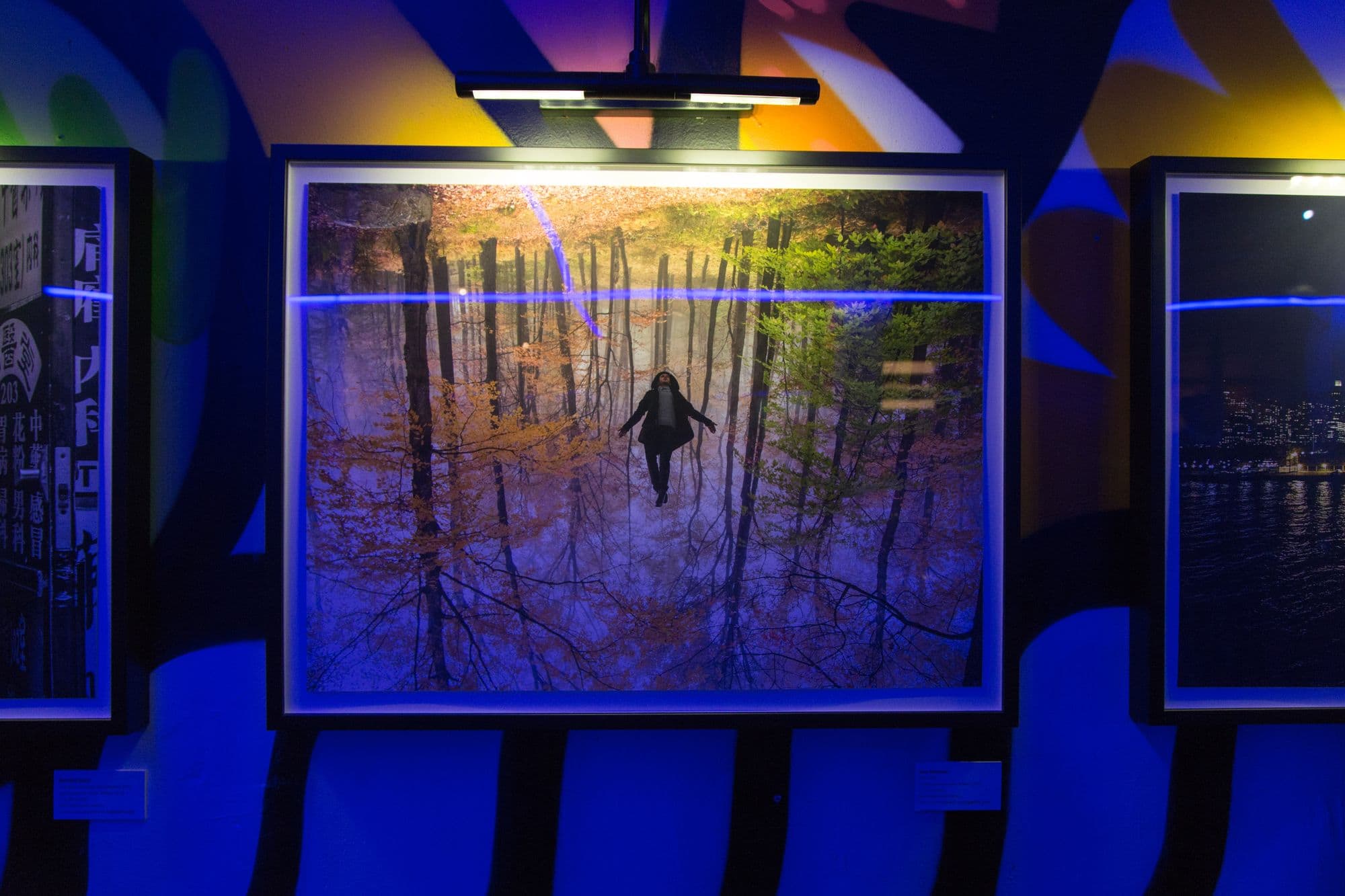 Volume 003 (Empire State), installation view