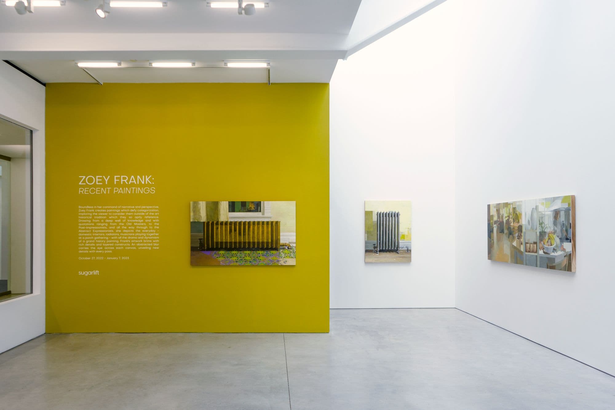 Zoey Frank: Recent Paintings, installation view