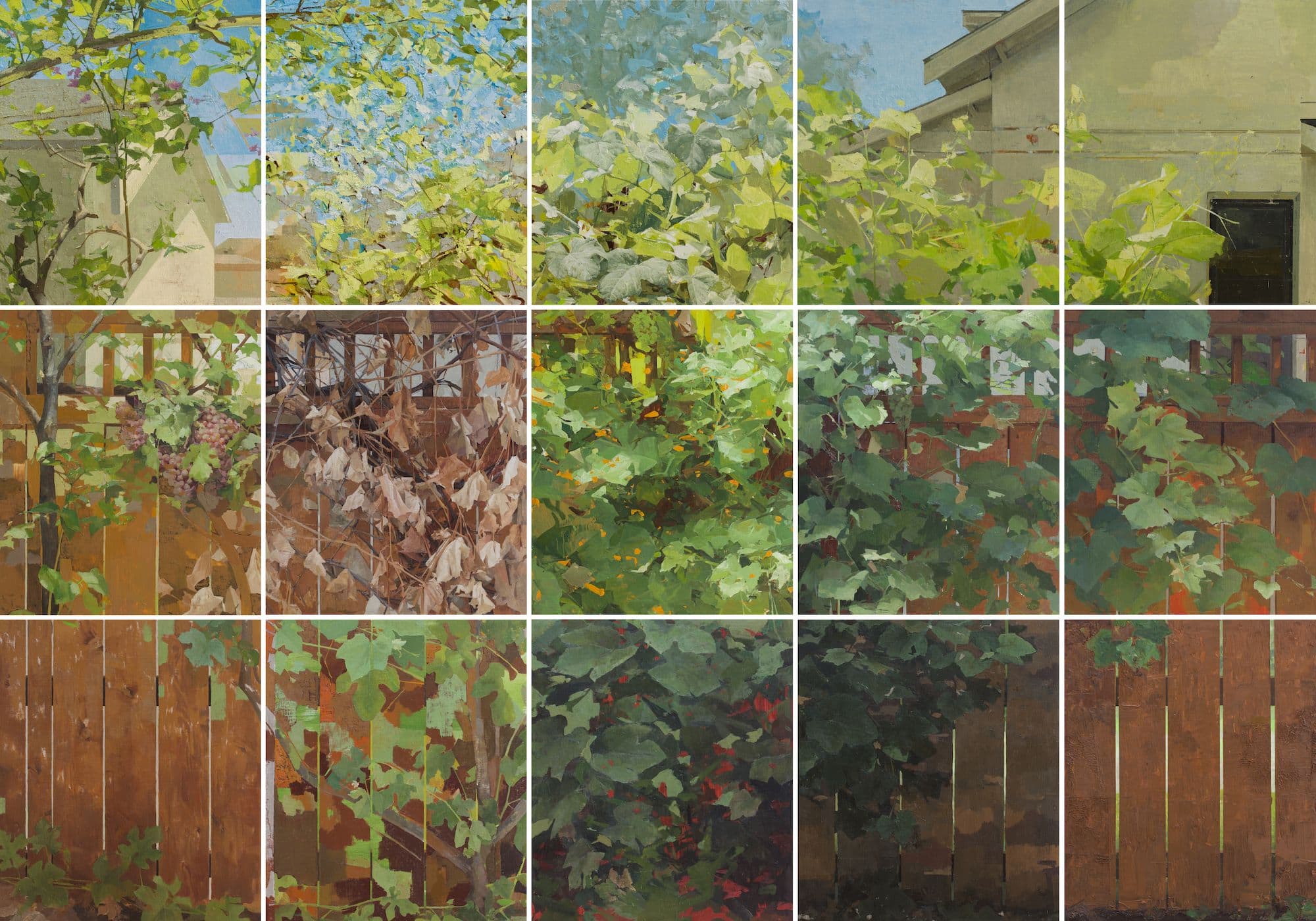Zoey Frank, Grapevine