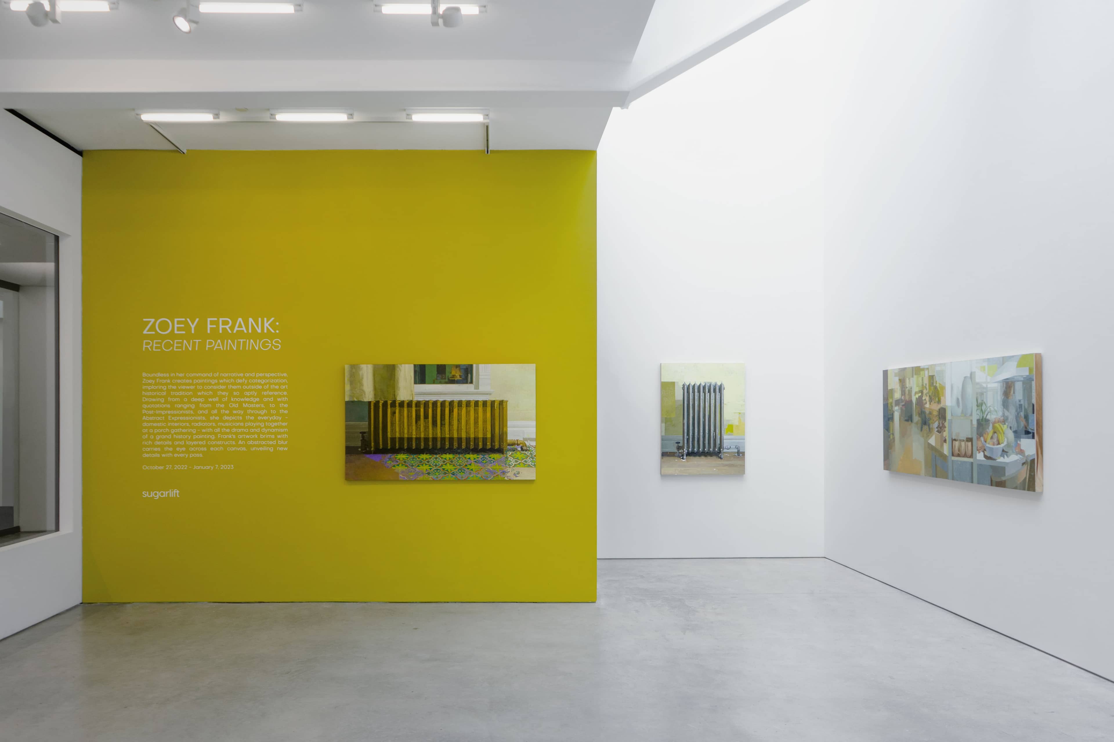 Cover image for Zoey Frank: Recent Paintings